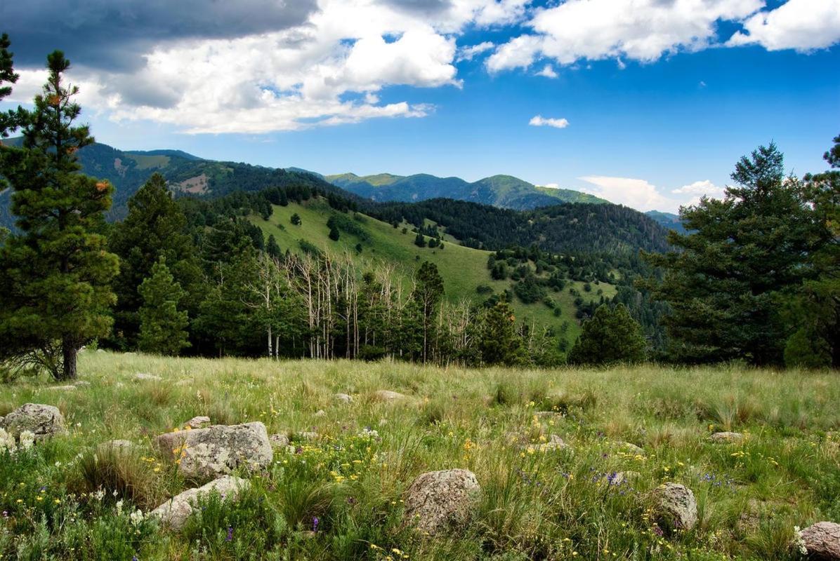 Windchaser, 1 Bedroom, Wood Burning Stove, Midtown, Sleeps 3 Ruidoso Buitenkant foto